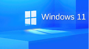 Windows 11 Pro 23H2 Build 22631.3880