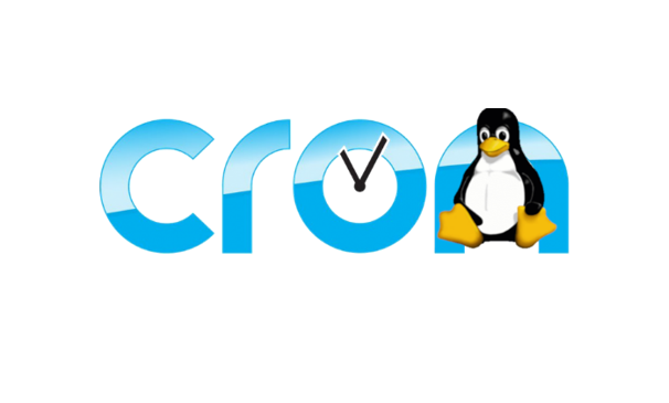linux cron - DDNS